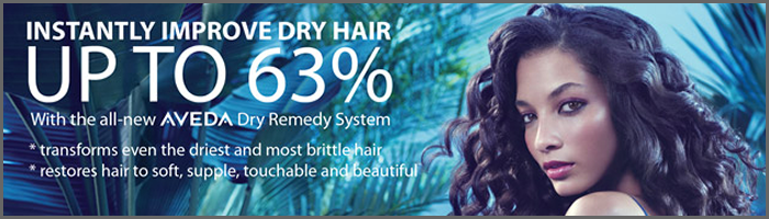 Aveda Dry Remedy | Aveda Hair Products